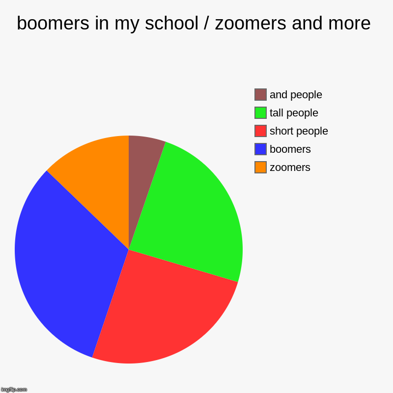 boomers in my school / zoomers and more | zoomers, boomers, short people, tall people, and people | image tagged in charts,pie charts | made w/ Imgflip chart maker