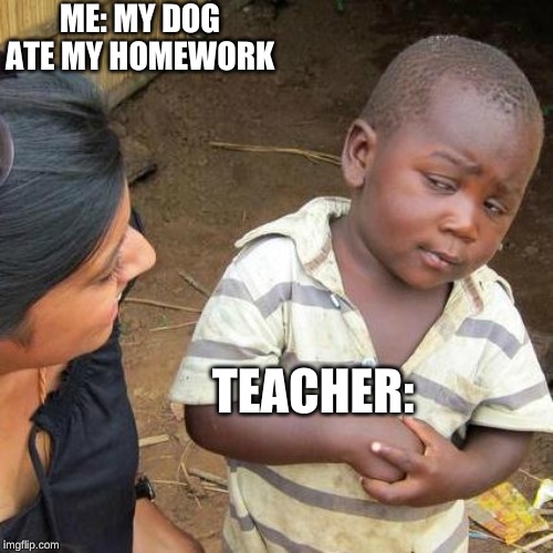 Third World Skeptical Kid | ME: MY DOG ATE MY HOMEWORK; TEACHER: | image tagged in memes,third world skeptical kid | made w/ Imgflip meme maker