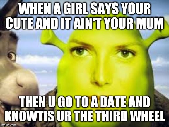 Bruh sooo true | WHEN A GIRL SAYS YOUR CUTE AND IT AIN'T YOUR MUM; THEN U GO TO A DATE AND KNOWTIS UR THE THIRD WHEEL | image tagged in shrek | made w/ Imgflip meme maker