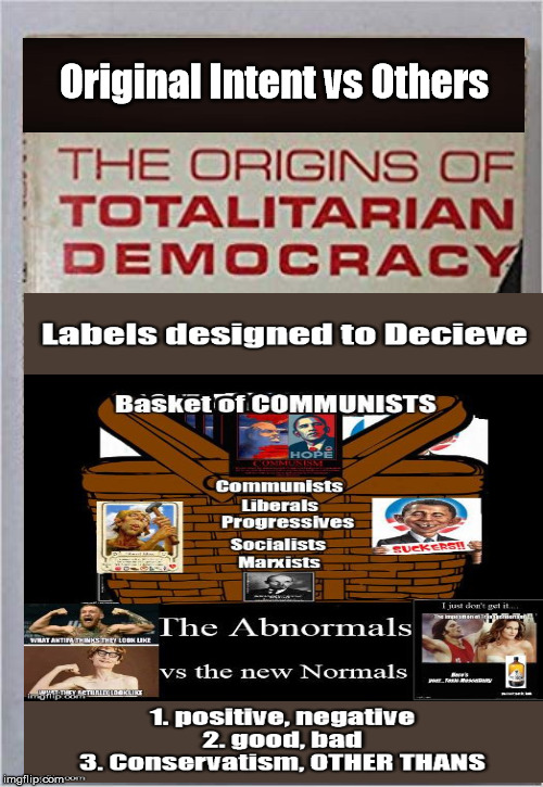 Totalitarian Democracy | Original Intent vs Others | image tagged in conservatrism,center,original intent,obama,progressive | made w/ Imgflip meme maker
