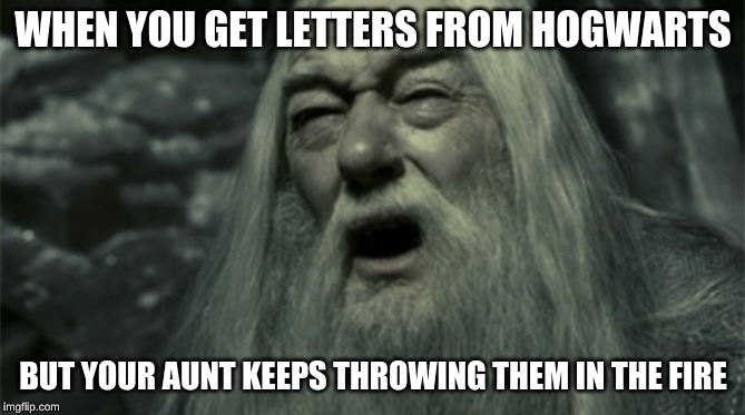 when harry oop | WHEN YOU GET LETTERS FROM HOGWARTS; BUT YOUR AUNT KEEPS THROWING THEM IN THE FIRE | image tagged in harry potter | made w/ Imgflip meme maker
