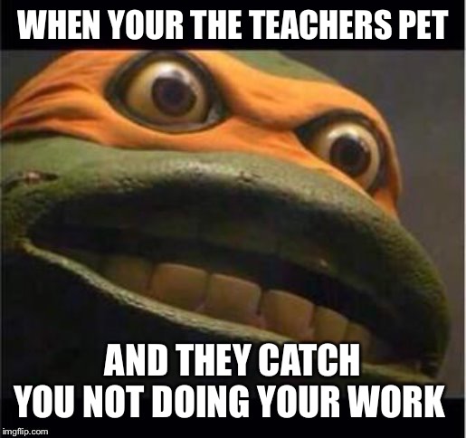 T.M.N.T. | WHEN YOUR THE TEACHERS PET; AND THEY CATCH YOU NOT DOING YOUR WORK | image tagged in tmnt | made w/ Imgflip meme maker