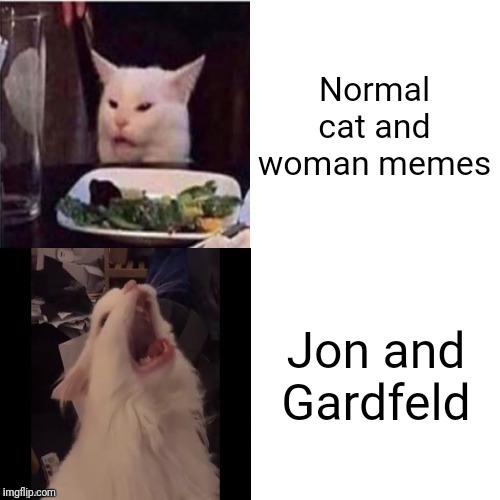 Cat Feline Bling | Normal cat and woman memes Jon and Gardfeld | image tagged in cat feline bling | made w/ Imgflip meme maker