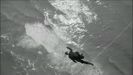 Falling! | image tagged in falling,fellini,fear and loathing | made w/ Imgflip video-to-gif maker