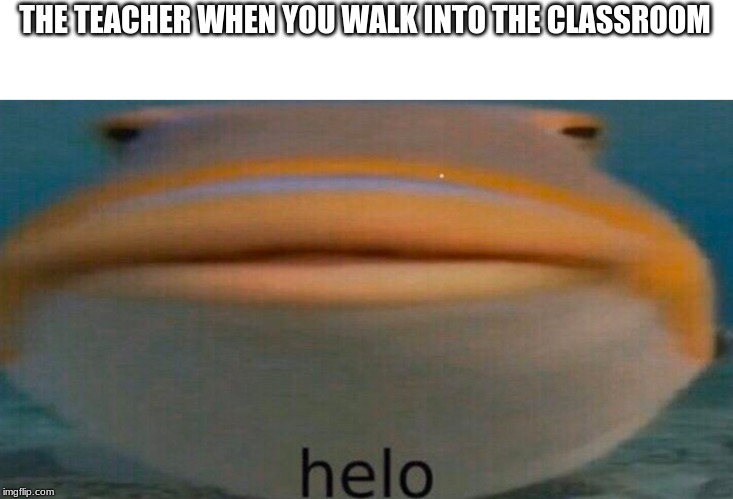 THE TEACHER WHEN YOU WALK INTO THE CLASSROOM | image tagged in fish,hello,teacher | made w/ Imgflip meme maker