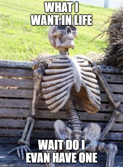 Waiting Skeleton Meme | WHAT I WANT IN LIFE; WAIT DO I EVAN HAVE ONE | image tagged in memes,waiting skeleton | made w/ Imgflip meme maker