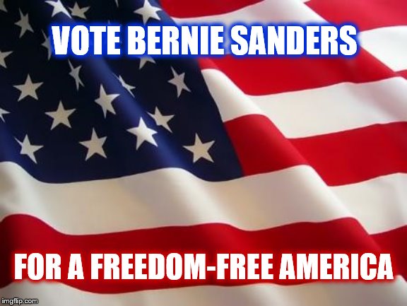 American flag | VOTE BERNIE SANDERS FOR A FREEDOM-FREE AMERICA | image tagged in american flag | made w/ Imgflip meme maker