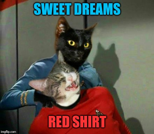 Vulcan Cat Pinch | SWEET DREAMS RED SHIRT | image tagged in vulcan cat pinch | made w/ Imgflip meme maker