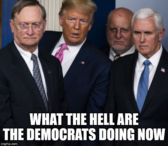 Falling apart, and electing anti-American candidates | WHAT THE HELL ARE THE DEMOCRATS DOING NOW | image tagged in democrats,trump 2020,mike pence,gop | made w/ Imgflip meme maker