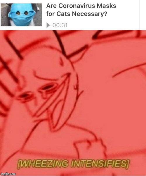 image tagged in wheeze | made w/ Imgflip meme maker
