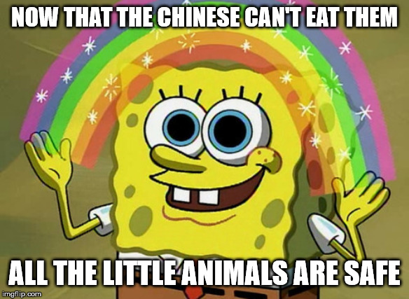Imagination Spongebob | NOW THAT THE CHINESE CAN'T EAT THEM; ALL THE LITTLE ANIMALS ARE SAFE | image tagged in memes,imagination spongebob | made w/ Imgflip meme maker