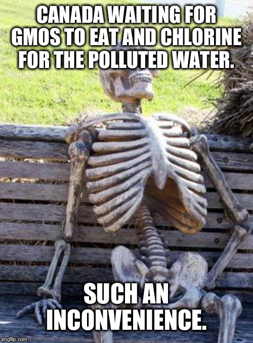 Waiting Skeleton | CANADA WAITING FOR GMOS TO EAT AND CHLORINE FOR THE POLLUTED WATER. SUCH AN INCONVENIENCE. | image tagged in memes,waiting skeleton | made w/ Imgflip meme maker