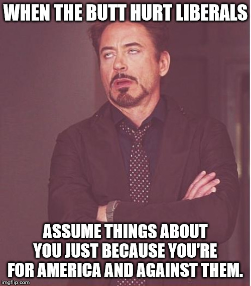 Face You Make Robert Downey Jr Meme | WHEN THE BUTT HURT LIBERALS ASSUME THINGS ABOUT YOU JUST BECAUSE YOU'RE FOR AMERICA AND AGAINST THEM. | image tagged in memes,face you make robert downey jr | made w/ Imgflip meme maker