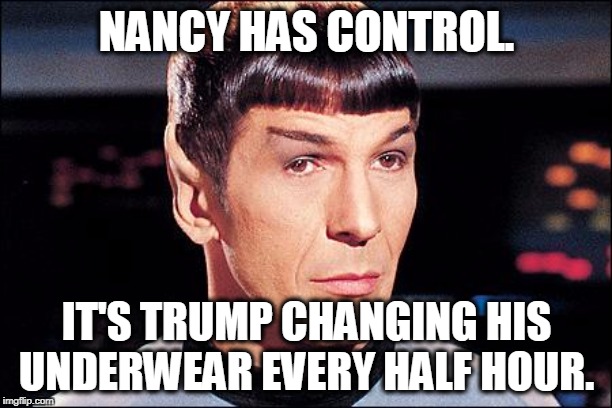 Condescending Spock | NANCY HAS CONTROL. IT'S TRUMP CHANGING HIS UNDERWEAR EVERY HALF HOUR. | image tagged in condescending spock | made w/ Imgflip meme maker