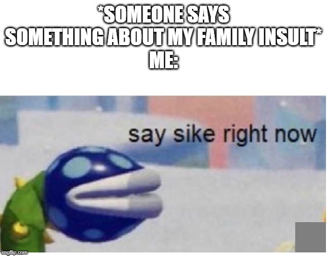 say sike right now | *SOMEONE SAYS SOMETHING ABOUT MY FAMILY INSULT*
ME: | image tagged in say sike right now | made w/ Imgflip meme maker