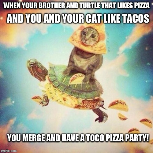 Space Pizza Cat Turtle Tacos | WHEN YOUR BROTHER AND TURTLE THAT LIKES PIZZA; AND YOU AND YOUR CAT LIKE TACOS; YOU MERGE AND HAVE A TOCO PIZZA PARTY! | image tagged in space pizza cat turtle tacos | made w/ Imgflip meme maker
