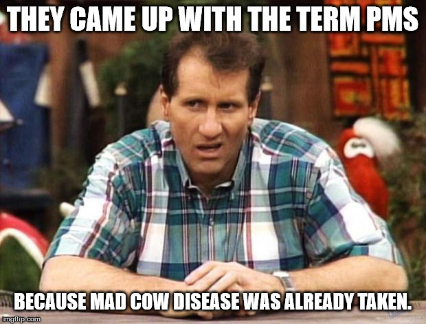 Al Bundy | THEY CAME UP WITH THE TERM PMS; BECAUSE MAD COW DISEASE WAS ALREADY TAKEN. | image tagged in al bundy,jokes,insults,men and women,health | made w/ Imgflip meme maker