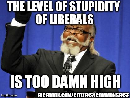 THE LEVEL OF STUPIDITY OF LIBERALS IS TOO DAMN HIGH FACEBOOK.COM/CITIZENS4COMMONSENSE | image tagged in memes,too damn high | made w/ Imgflip meme maker