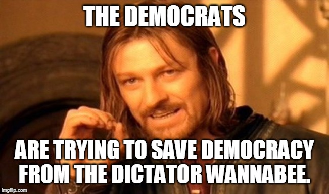 One Does Not Simply Meme | THE DEMOCRATS ARE TRYING TO SAVE DEMOCRACY FROM THE DICTATOR WANNABEE. | image tagged in memes,one does not simply | made w/ Imgflip meme maker