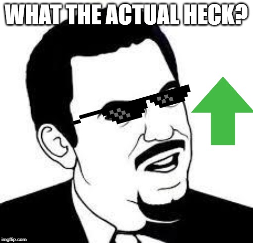 Are you serious? | WHAT THE ACTUAL HECK? | image tagged in are you serious | made w/ Imgflip meme maker