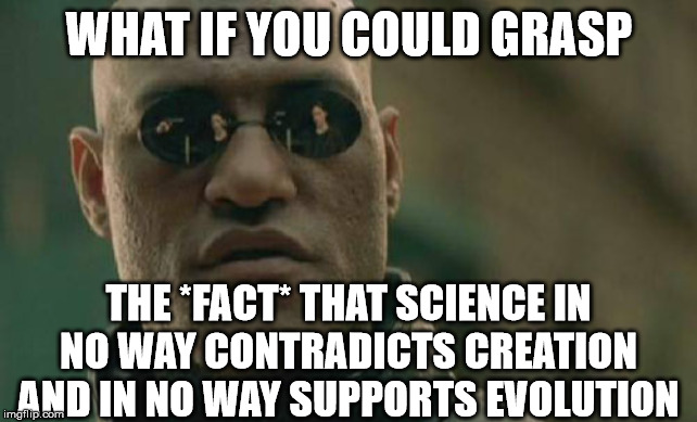 Matrix Morpheus Meme | WHAT IF YOU COULD GRASP THE *FACT* THAT SCIENCE IN NO WAY CONTRADICTS CREATION AND IN NO WAY SUPPORTS EVOLUTION | image tagged in memes,matrix morpheus | made w/ Imgflip meme maker