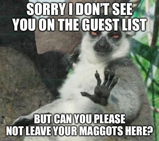 Stoner Lemur Meme | SORRY I DON’T SEE YOU ON THE GUEST LIST BUT CAN YOU PLEASE NOT LEAVE YOUR MAGGOTS HERE? | image tagged in memes,stoner lemur | made w/ Imgflip meme maker