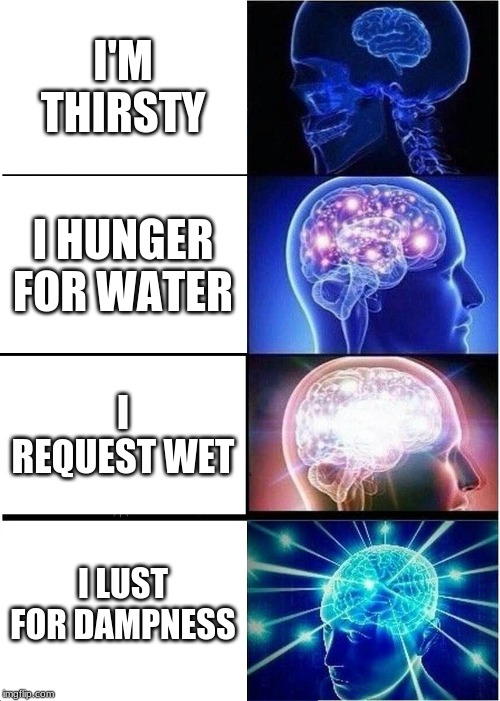 Expanding Brain Meme | I'M THIRSTY; I HUNGER FOR WATER; I REQUEST WET; I LUST FOR DAMPNESS | image tagged in memes,expanding brain | made w/ Imgflip meme maker