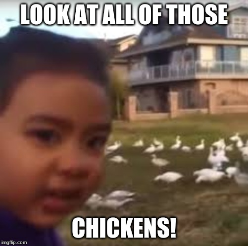Chicken Flavored Turkey! | LOOK AT ALL OF THOSE; CHICKENS! | image tagged in chickens,vines,memes,turkeys | made w/ Imgflip meme maker