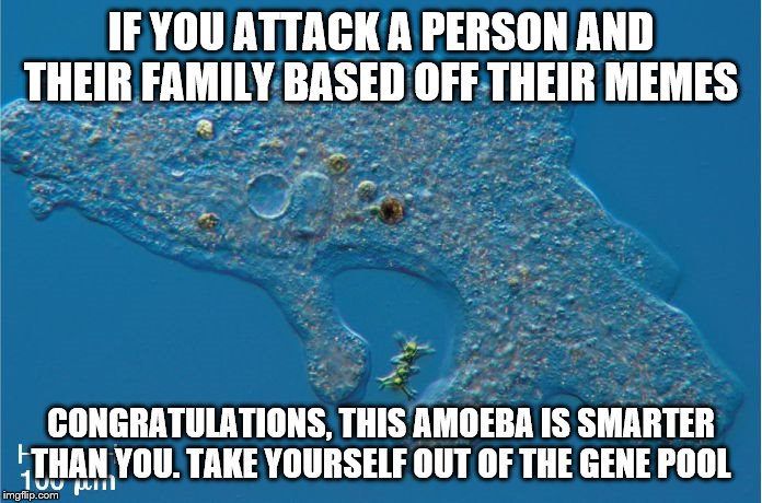 Amoeba | IF YOU ATTACK A PERSON AND THEIR FAMILY BASED OFF THEIR MEMES; CONGRATULATIONS, THIS AMOEBA IS SMARTER THAN YOU. TAKE YOURSELF OUT OF THE GENE POOL | image tagged in amoeba | made w/ Imgflip meme maker