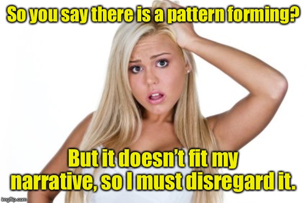 Dumb Blonde | So you say there is a pattern forming? But it doesn’t fit my narrative, so I must disregard it. | image tagged in dumb blonde | made w/ Imgflip meme maker