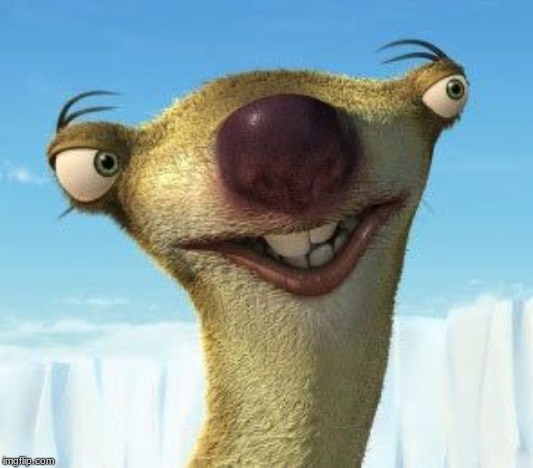 Sid Ice age | image tagged in sid ice age | made w/ Imgflip meme maker