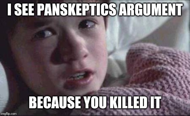 I See Dead People Meme | I SEE PANSKEPTICS ARGUMENT BECAUSE YOU KILLED IT | image tagged in memes,i see dead people | made w/ Imgflip meme maker