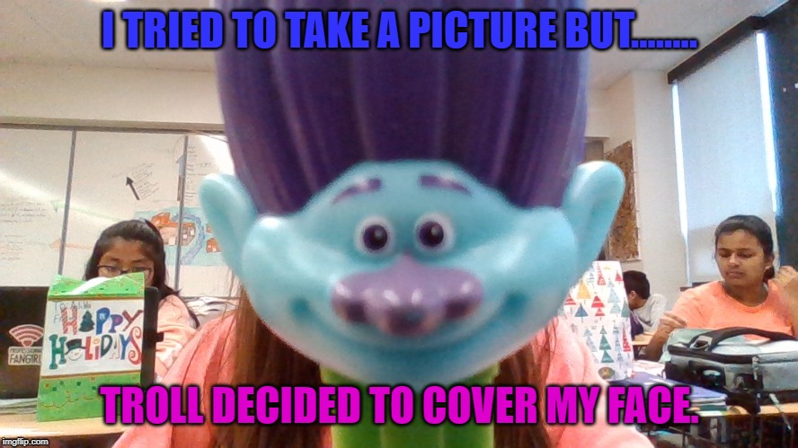 Photo-bombing #2 | I TRIED TO TAKE A PICTURE BUT........ TROLL DECIDED TO COVER MY FACE. | image tagged in so true memes | made w/ Imgflip meme maker