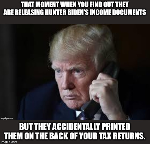 Release them both I say | THAT MOMENT WHEN YOU FIND OUT THEY ARE RELEASING HUNTER BIDEN'S INCOME DOCUMENTS; BUT THEY ACCIDENTALLY PRINTED THEM ON THE BACK OF YOUR TAX RETURNS. | image tagged in donald trump,democrats,panic | made w/ Imgflip meme maker