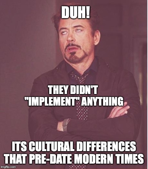 Face You Make Robert Downey Jr Meme | THEY DIDN'T 
"IMPLEMENT" ANYTHING ITS CULTURAL DIFFERENCES THAT PRE-DATE MODERN TIMES DUH! | image tagged in memes,face you make robert downey jr | made w/ Imgflip meme maker