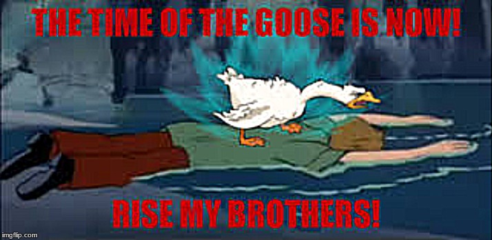 image tagged in untitled goose,rise my brothers | made w/ Imgflip meme maker