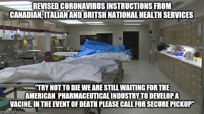 YEP | REVISED CORONAVIRUS INSTRUCTIONS FROM CANADIAN, ITALIAN AND BRITSH NATIONAL HEALTH SERVICES; "TRY NOT TO DIE WE ARE STILL WAITING FOR THE AMERICAN  PHARMACEUTICAL INDUSTRY TO DEVELOP A VACINE. IN THE EVENT OF DEATH PLEASE CALL FOR SECURE PICKUP" | image tagged in bernie sanders,medicare for all,socialism | made w/ Imgflip meme maker