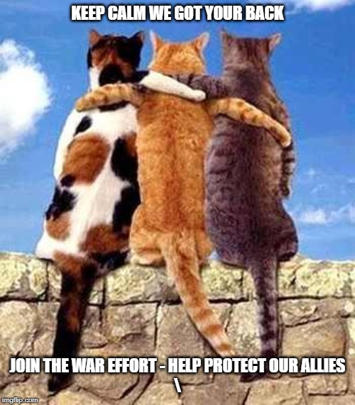 Cat friends | KEEP CALM WE GOT YOUR BACK; JOIN THE WAR EFFORT - HELP PROTECT OUR ALLIES
\ | image tagged in cat friends | made w/ Imgflip meme maker