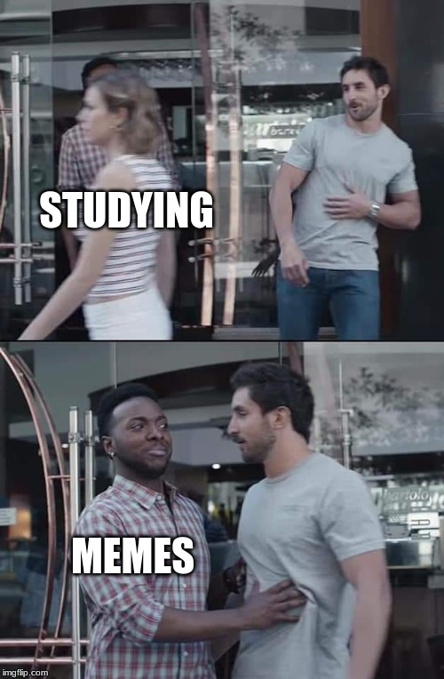 black guy stopping | STUDYING; MEMES | image tagged in black guy stopping | made w/ Imgflip meme maker