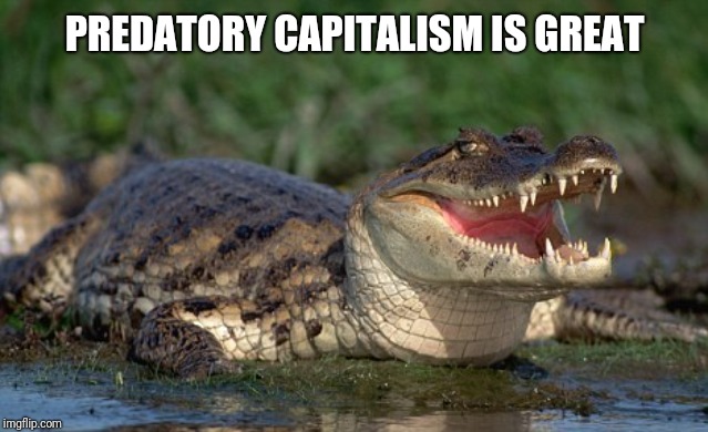 Alligator | PREDATORY CAPITALISM IS GREAT | image tagged in alligator | made w/ Imgflip meme maker