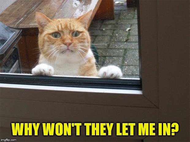 Let me in ! | WHY WON'T THEY LET ME IN? | image tagged in let me in | made w/ Imgflip meme maker