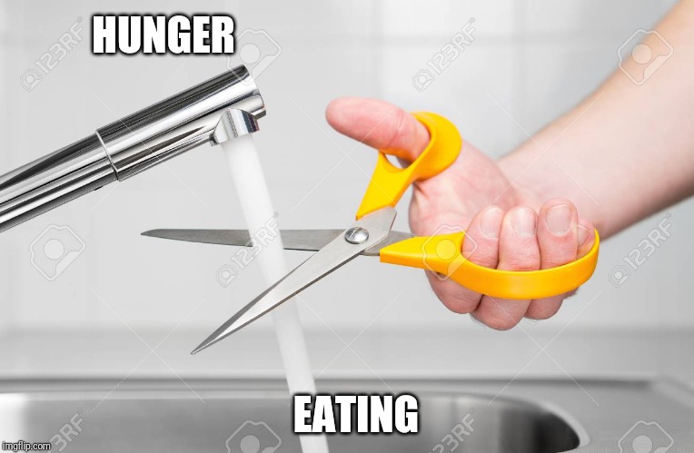 cutting water with scissors | HUNGER; EATING | image tagged in cutting water with scissors | made w/ Imgflip meme maker