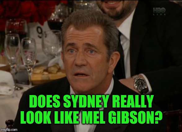 Sorry Kate, couldn't resist! But you said it was allowed, right? | DOES SYDNEY REALLY LOOK LIKE MEL GIBSON? | image tagged in memes,confused mel gibson,sydneyb,funny,the think tank,ye | made w/ Imgflip meme maker