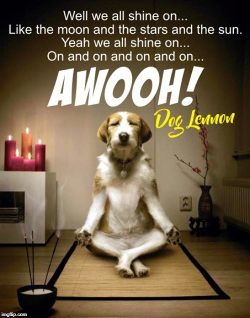 Instant Karma - Dog Lennon | image tagged in instant karma,the beatles,dog lennon,funny memes | made w/ Imgflip meme maker
