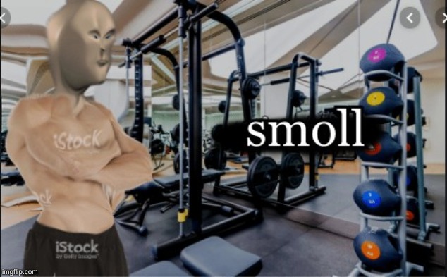 smoll boi | image tagged in stonks | made w/ Imgflip meme maker