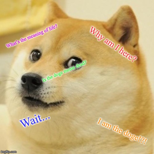 Doge Meme | What’s the meaning of life? Why am I here? Is the doge meme dead? Wait... I am the doge!?! | image tagged in memes,doge | made w/ Imgflip meme maker