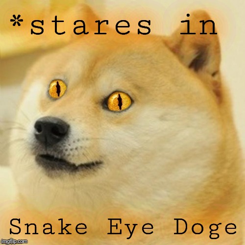 Doge Snake Eyes | *stares in Snake Eye Doge | image tagged in doge snake eyes | made w/ Imgflip meme maker