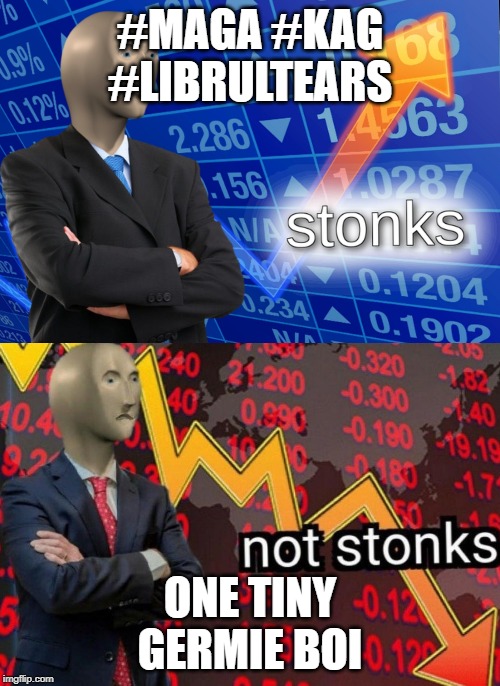 Stonks not stonks | #MAGA #KAG #LIBRULTEARS; ONE TINY GERMIE BOI | image tagged in stonks not stonks | made w/ Imgflip meme maker