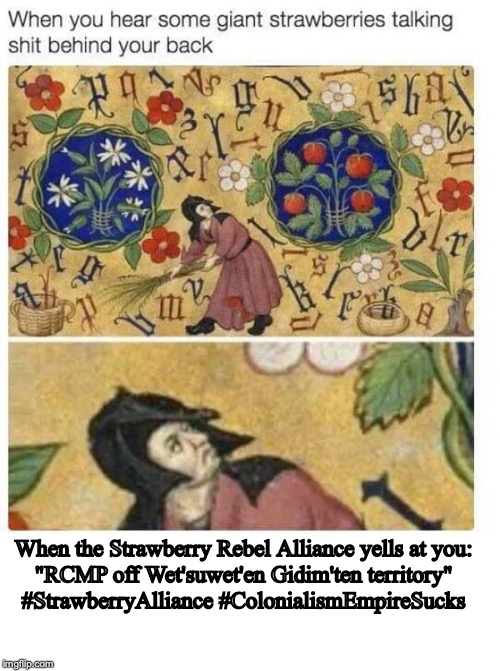 Rcmp off Wet'suwet'en Gidim'ten Territory | When the Strawberry Rebel Alliance yells at you: 
"RCMP off Wet'suwet'en Gidim'ten territory" 

#StrawberryAlliance #ColonialismEmpireSucks | image tagged in strawberry | made w/ Imgflip meme maker