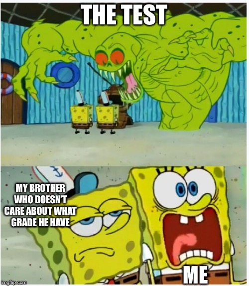 SpongeBob SquarePants scared but also not scared | THE TEST; MY BROTHER WHO DOESN’T CARE ABOUT WHAT GRADE HE HAVE; ME | image tagged in spongebob squarepants scared but also not scared | made w/ Imgflip meme maker